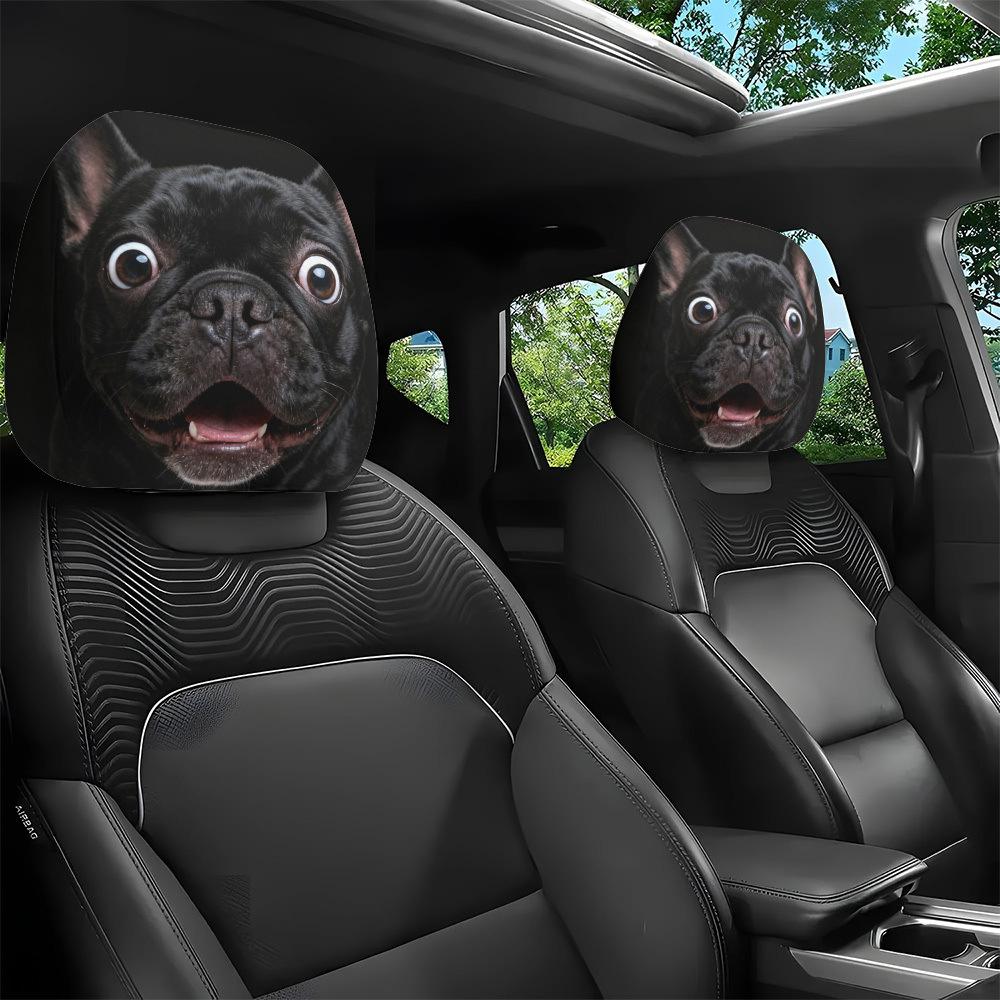 Amazing Black French Bulldog / Two Pack