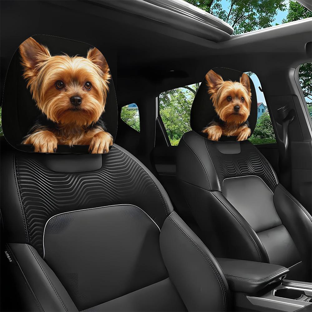 Adorable Dog From Yorkshire / Two Pack