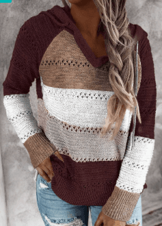 Color Blocking Hollowed Out Striped Hooded Knitted Long Sleeved Top