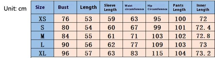 2 Pieces Women's V Neck Long-sleeve Sportswear Top And Wide-leg Pants Set Casual Comfortable Outfit Set For Daily Wear Gym Sports Outfit