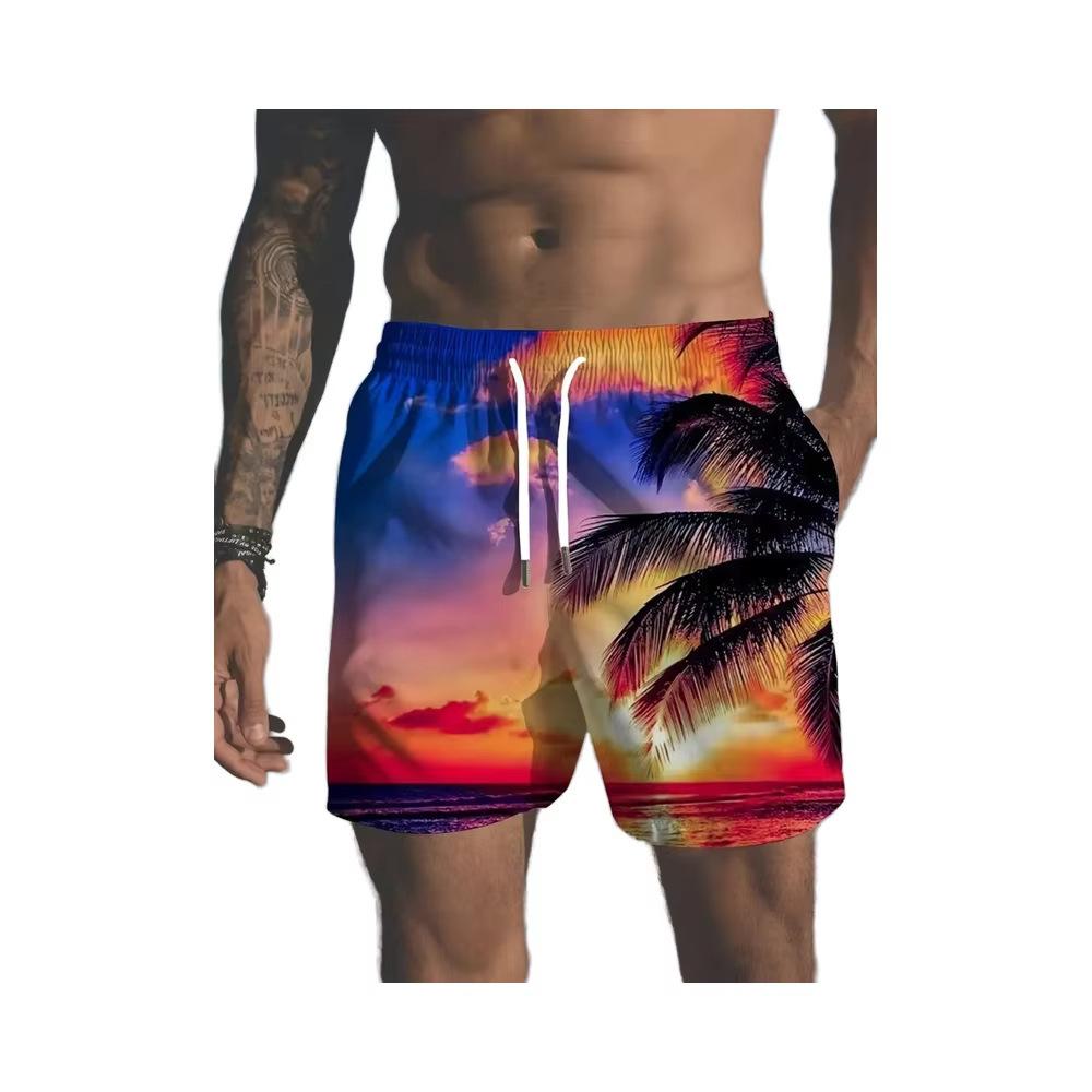 Mens Summer Beach Shorts Stylish Quick-Dry Print Short Trousers