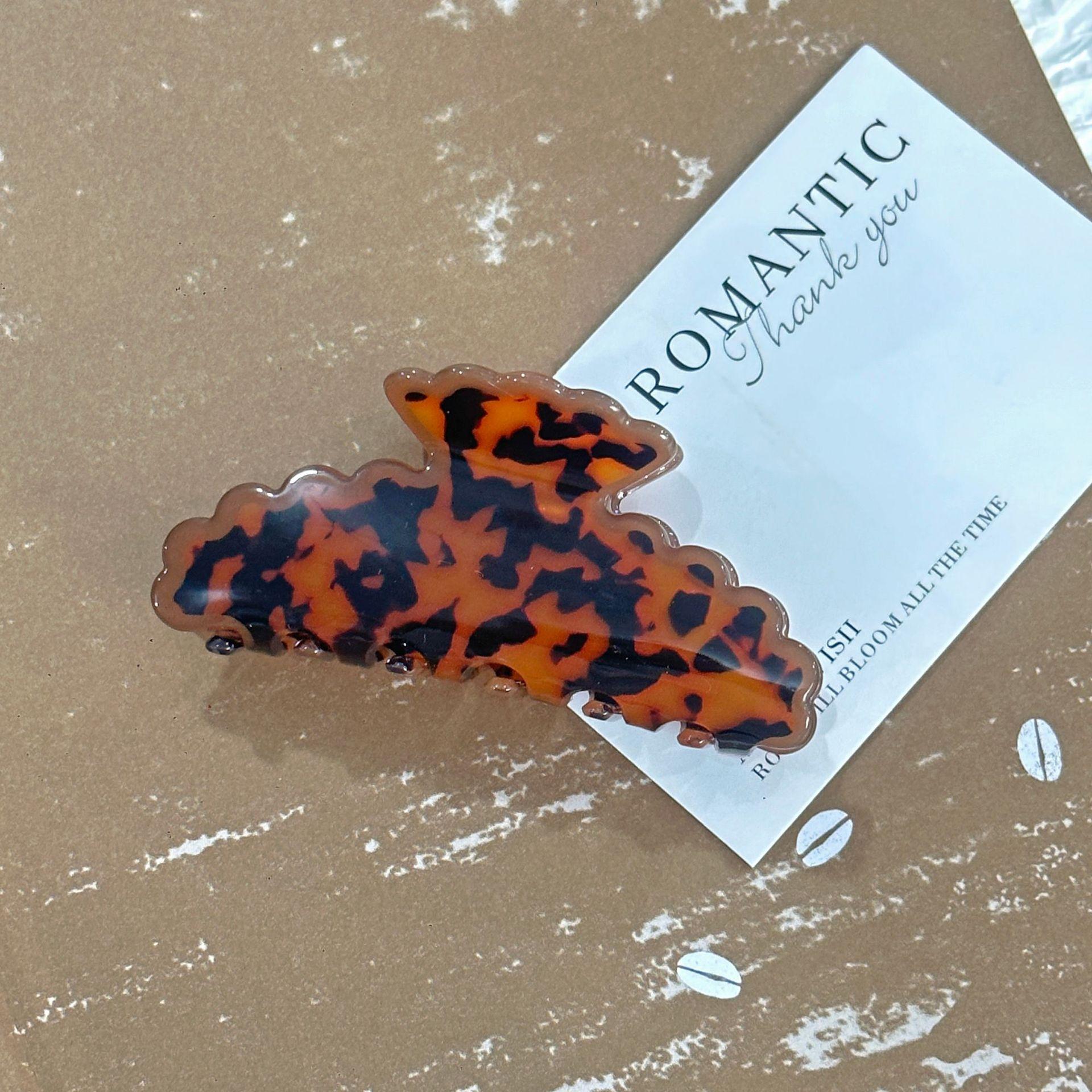 Coffee Hawksbill
