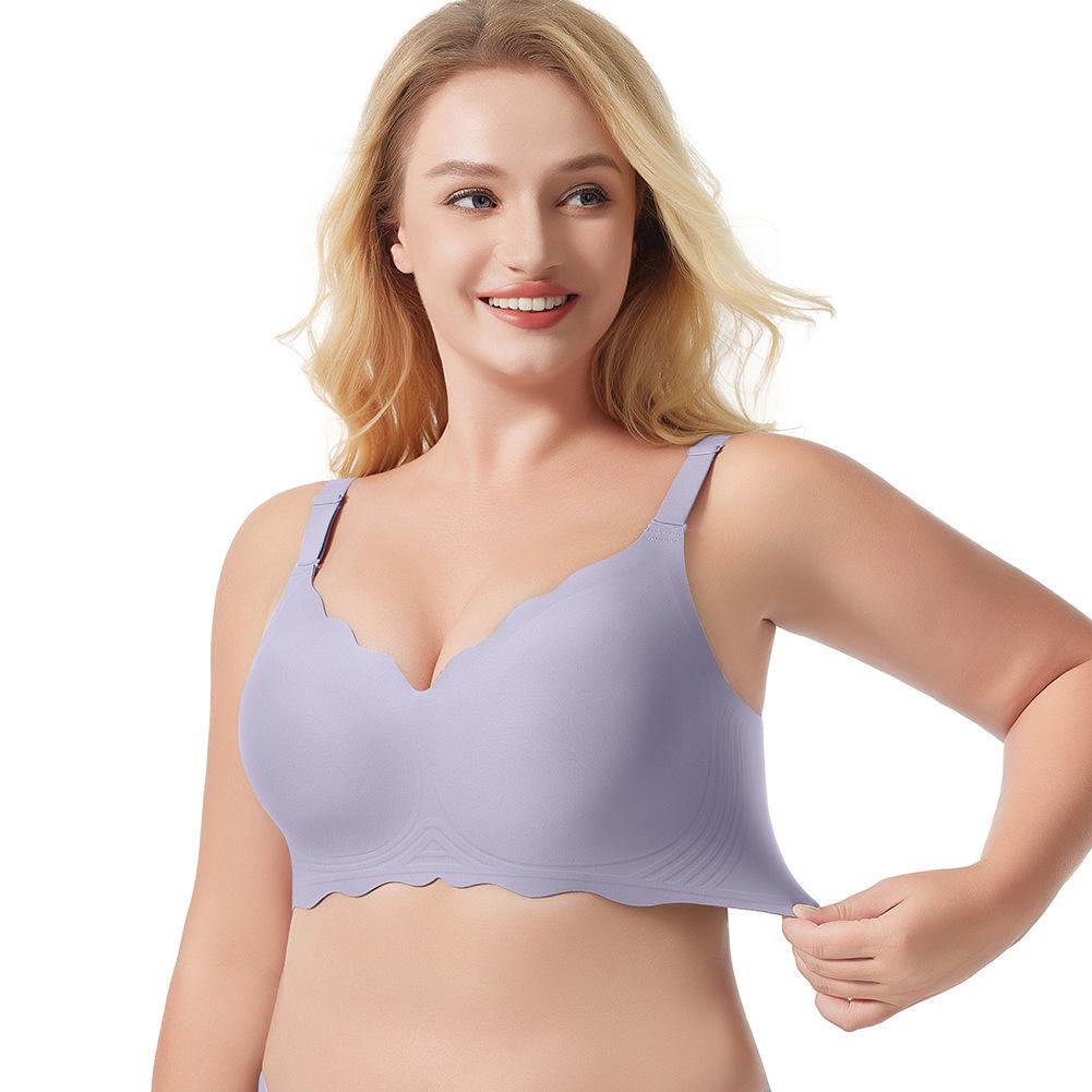 Purple / 3XL