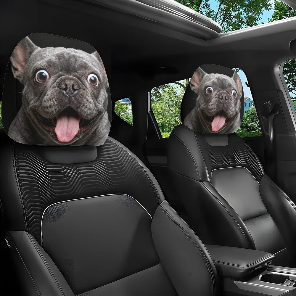 Adorable Jarre Aero Bull / Two Pack
